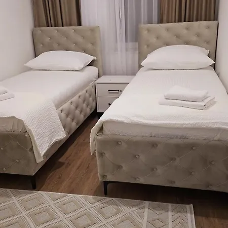 Apartment Rodjeni *