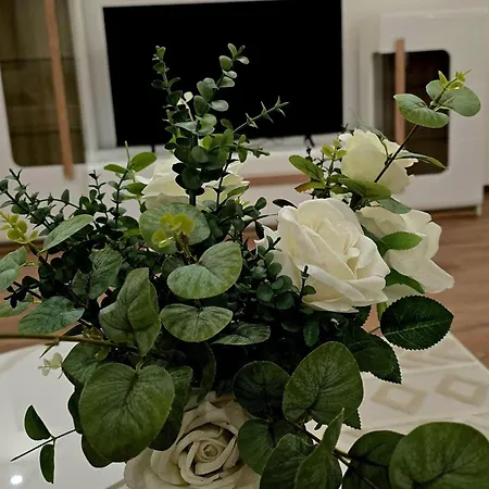 Rodjeni 公寓 莫斯塔尔